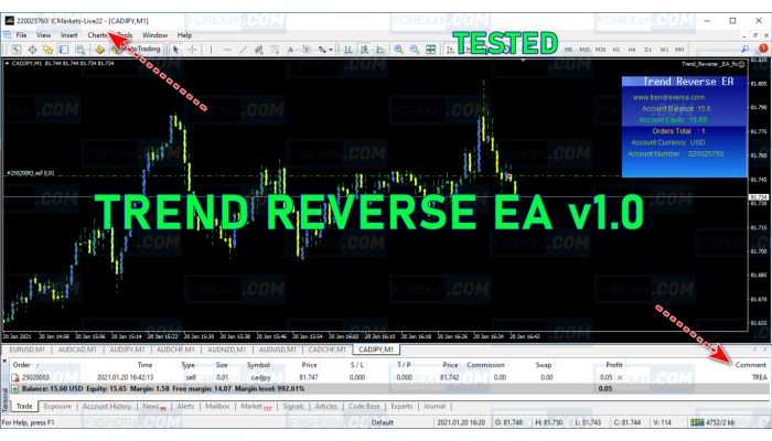 TREND REVERSE EA V1.0 