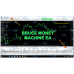 BRUCE MONEY MACHINE EA 