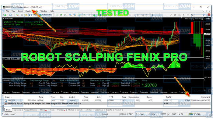 ROBOT SCALPING FENIX PRO 