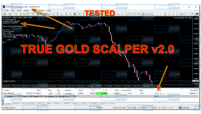 TRUE GOLD SCALPER V2.0 