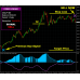 FOREX VIKING PRO 