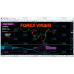 FOREX VIKING PRO 