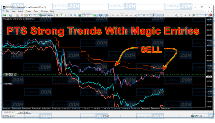PTS STRONG TRENDS WITH MAGIC ENTRIES