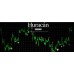 MILLIONTRADER HURACAN v2.0