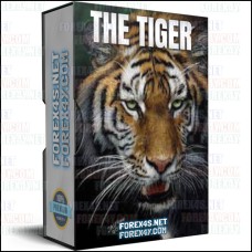 THE TIGER 