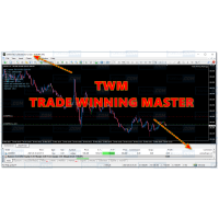 TWM Trade  Winning Master V1.0 