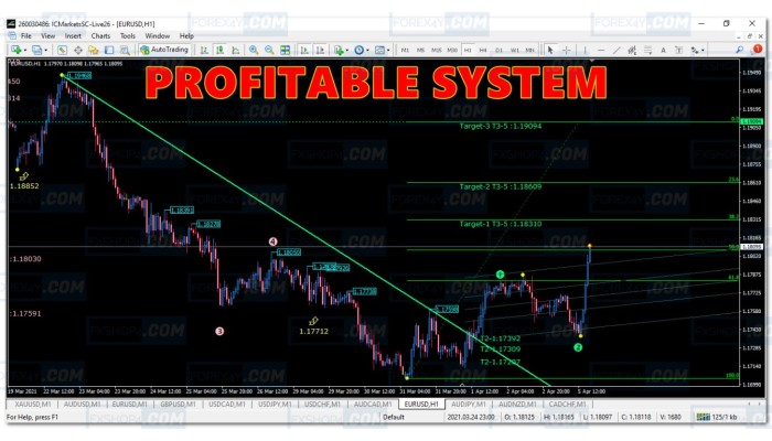 PROFITABLE SYSTEM 