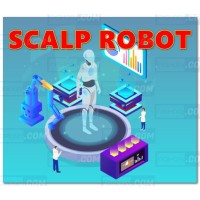 SCALP ROBOT v3.0 