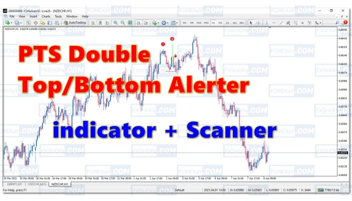 PTS DOUBLE TOP/BOTTOM ALERTER