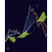TREXPER INDICATOR 