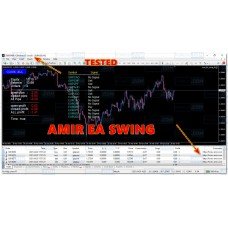 AMIR EA SWING V1.0 