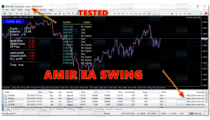 AMIR EA SWING V1.0 