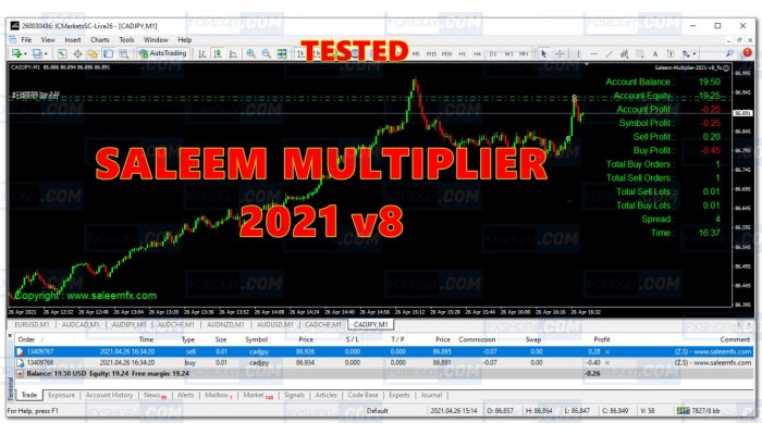 SALEEM MULTIPLIER 2021 V8 