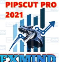 FXMIND PIPSCUT PRO 2021 