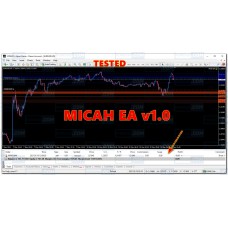 MICAH EA V1.0 