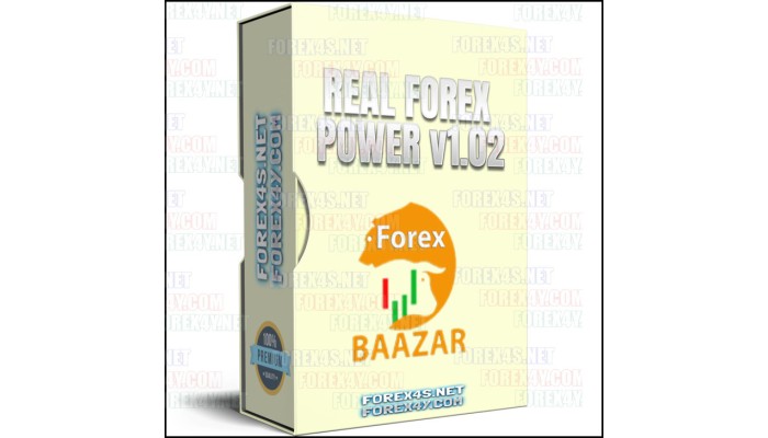 EA REAL FOREX POWER v1.02 