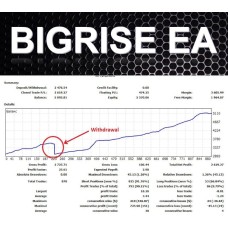 BIGRISE EA V1.0 