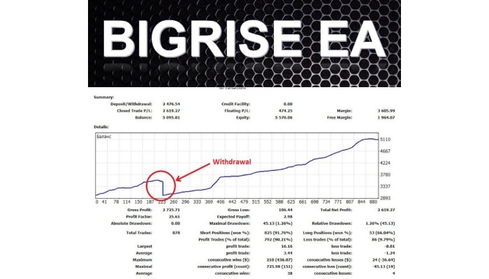 BIGRISE EA V1.0 