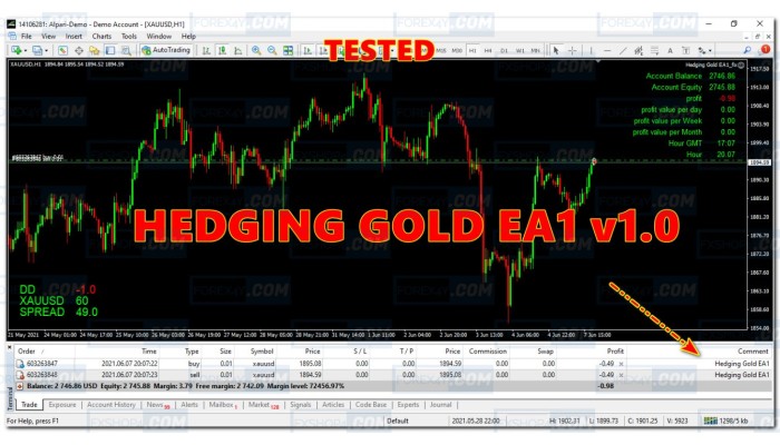 HEDGING GOLD EA1 V1.0 