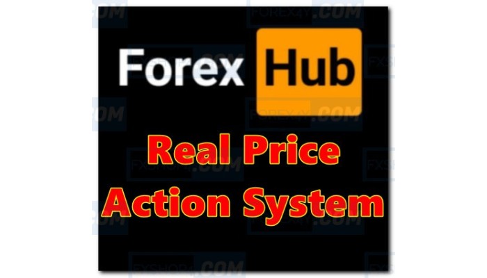 FOREXHUB REAL PRICE ACTION SYSTEM