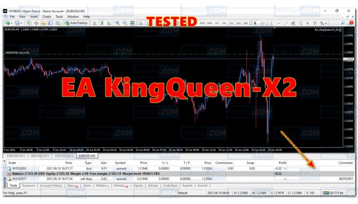 EA KingQueen-X2 