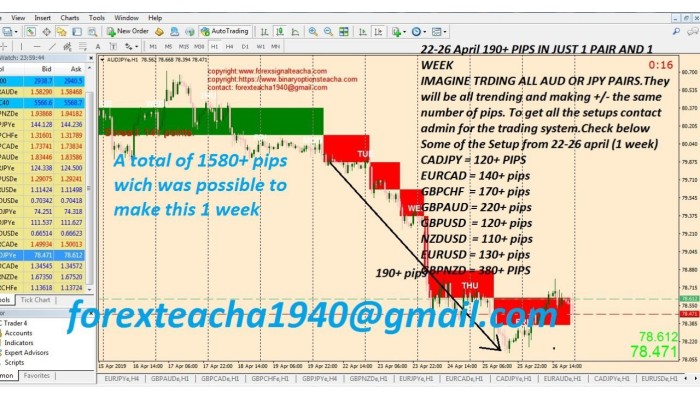 TEACHA FOREX TRADING SYSTEM