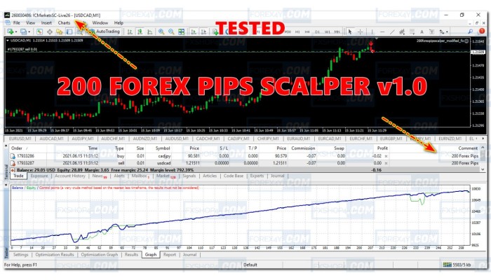 200 FOREX PIPS SCALPER V1.0 