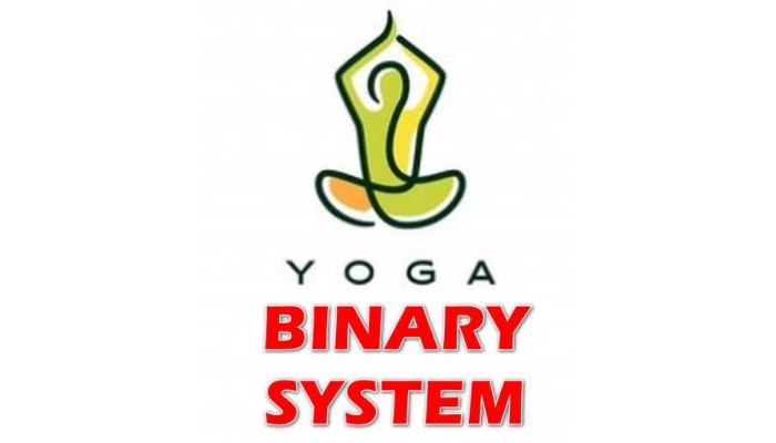 YOGA BINARY SYSTEM V1.0 