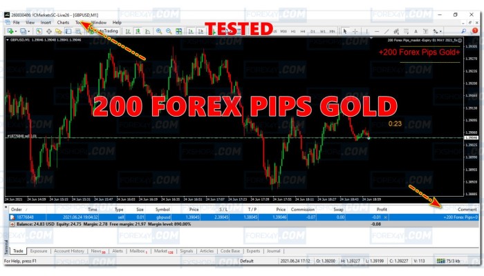 200 FOREX PIPS GOLD 
