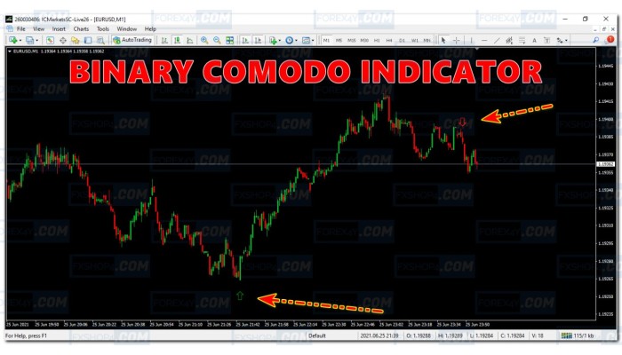 Binary Comodo Indicator 
