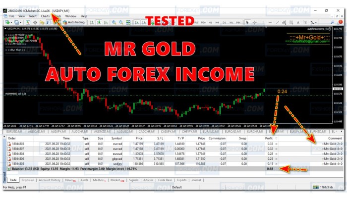 MR GOLD AUTO FOREX INCOME 