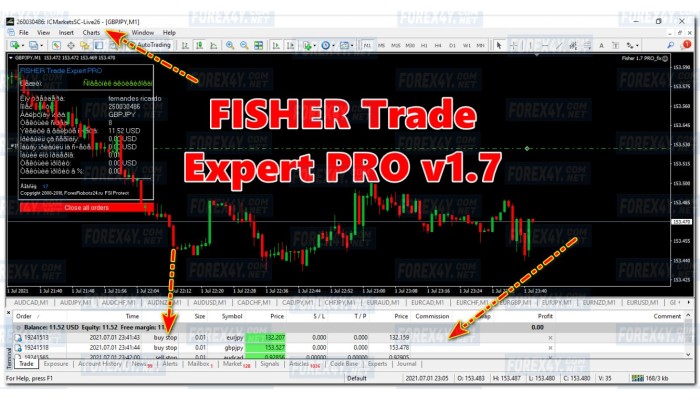FISHER Trade Expert PRO V1.7 