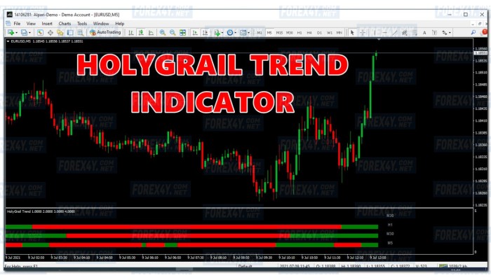 HOLYGRAIL TREND INDICATOR 