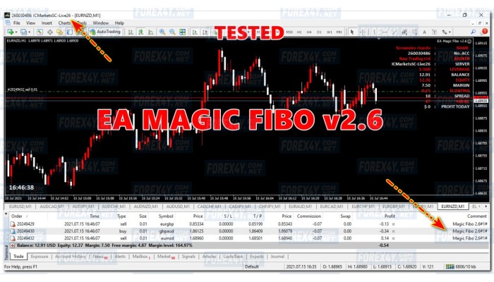 MAGIC FIBO V2.6 