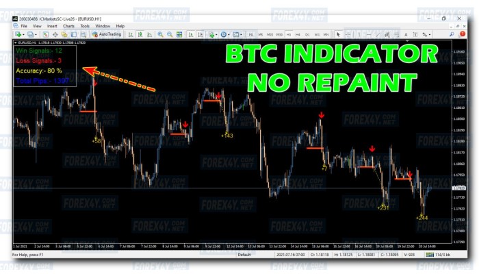 BTC INDICATOR  (NO REPAINT) 