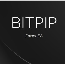 BITPIP Forex EA 