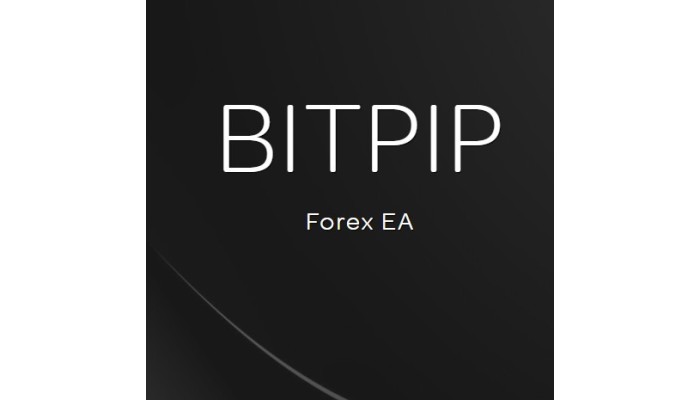 BITPIP Forex EA 