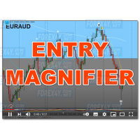 ENTRY MAGNIFIER 