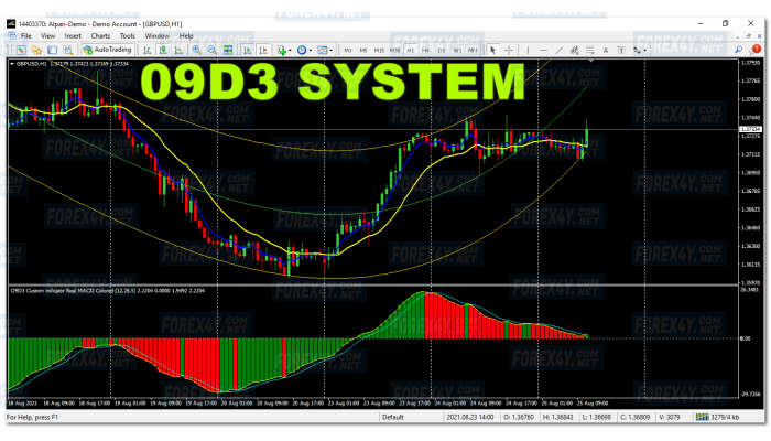 09D3 SYSTEM 