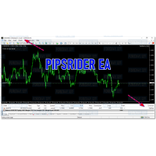PIPSRIDER EA 