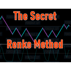 THE SECRET RENKO METHOD
