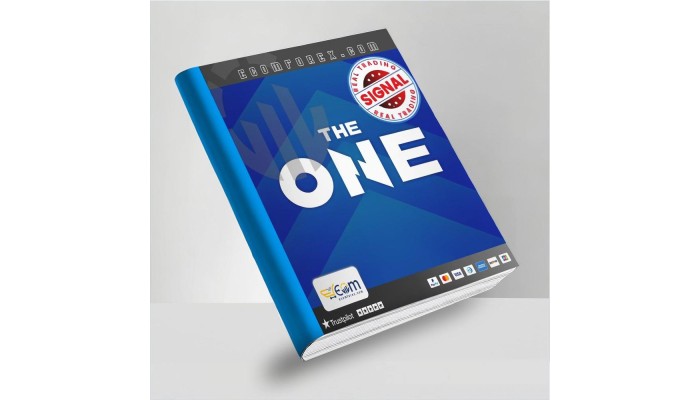 THE ONE v2.0 MT5
