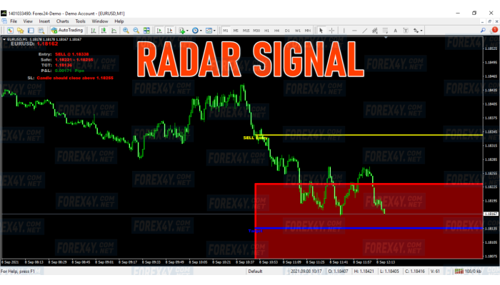 RADAR SIGNAL 