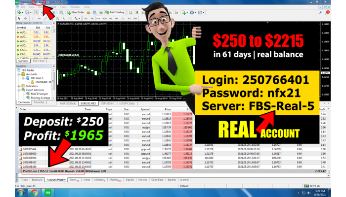 NFX TRADING EA v3.0