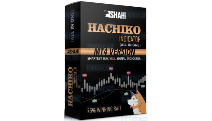 HACHIKO INDICATOR v2.5