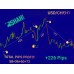 ISHA INDICATOR V10