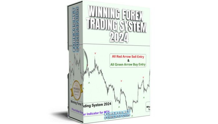 WINNING FOREX TRADING SYSTEM 2024