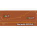APOLLO SCALPER v1.0