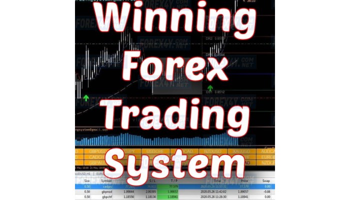 Winning Forex Trading System