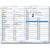 VISION SCALPER v5.3